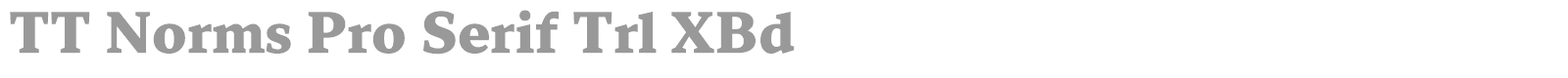 TT Norms Pro Serif font preview